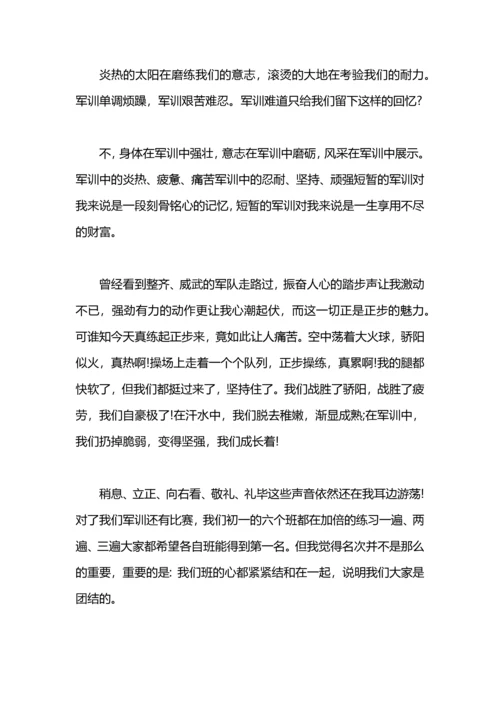 初中军训总结500字.docx