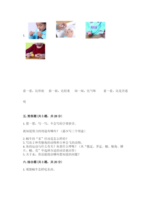 教科版一年级下册科学期末测试卷及完整答案（网校专用）.docx