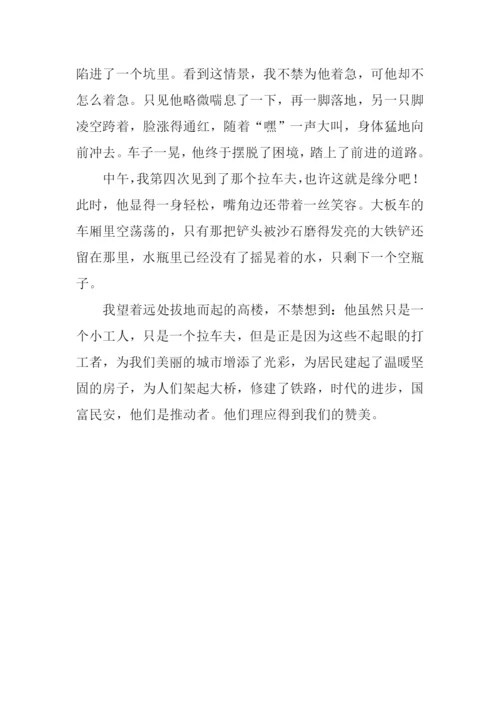 他们因劳动而美丽作文800字.docx