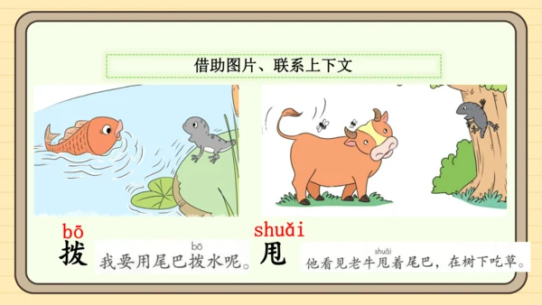 20 小壁虎借尾巴（课件）