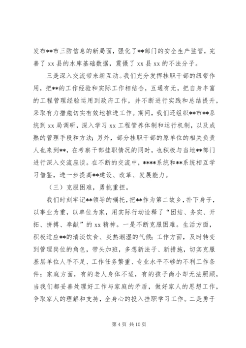 外派挂职市水务集团干部工作感悟_1 (3).docx