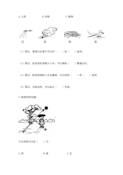 教科版二年级上册科学期末测试卷附答案（夺分金卷）.docx