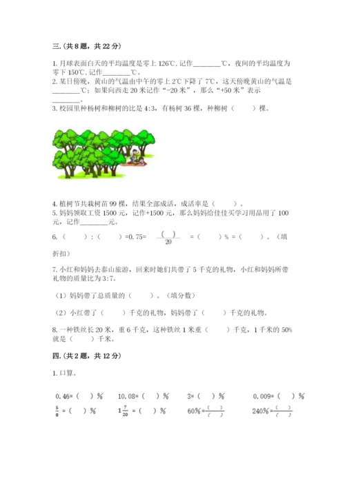 小学六年级数学毕业试题及参考答案【综合卷】.docx