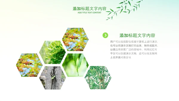 绿色小清新植树节植树造林环保PPT模板