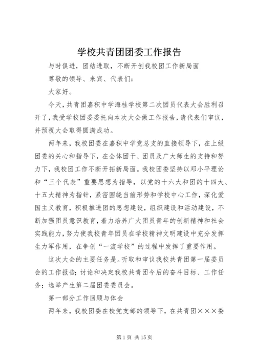 学校共青团团委工作报告.docx