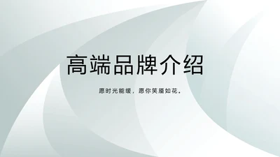 高端品牌介绍策划方案工作总结计划PPT