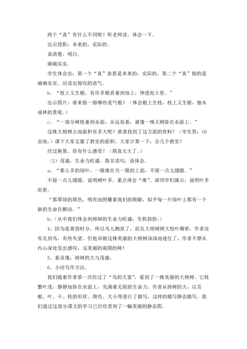 关于鸟的天堂教案7篇.docx