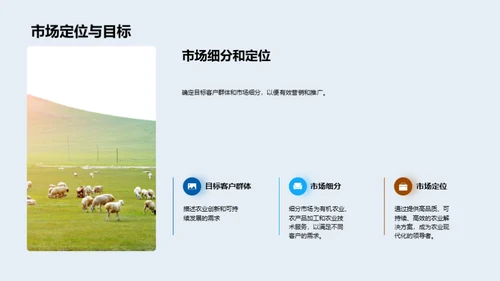 创新农业投资策略