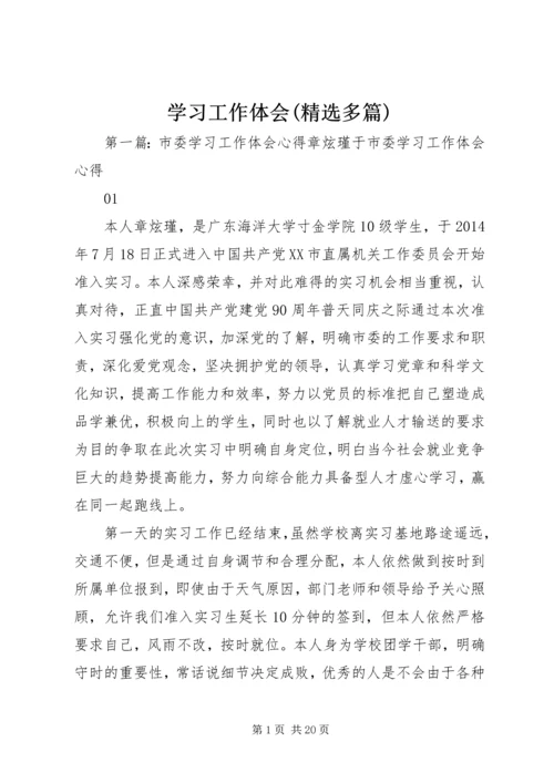 学习工作体会(精选多篇).docx