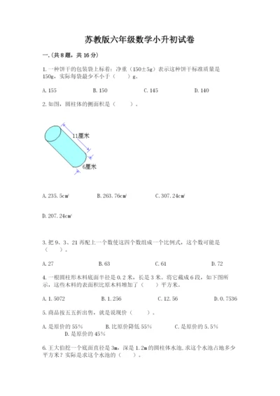 苏教版六年级数学小升初试卷及完整答案【必刷】.docx