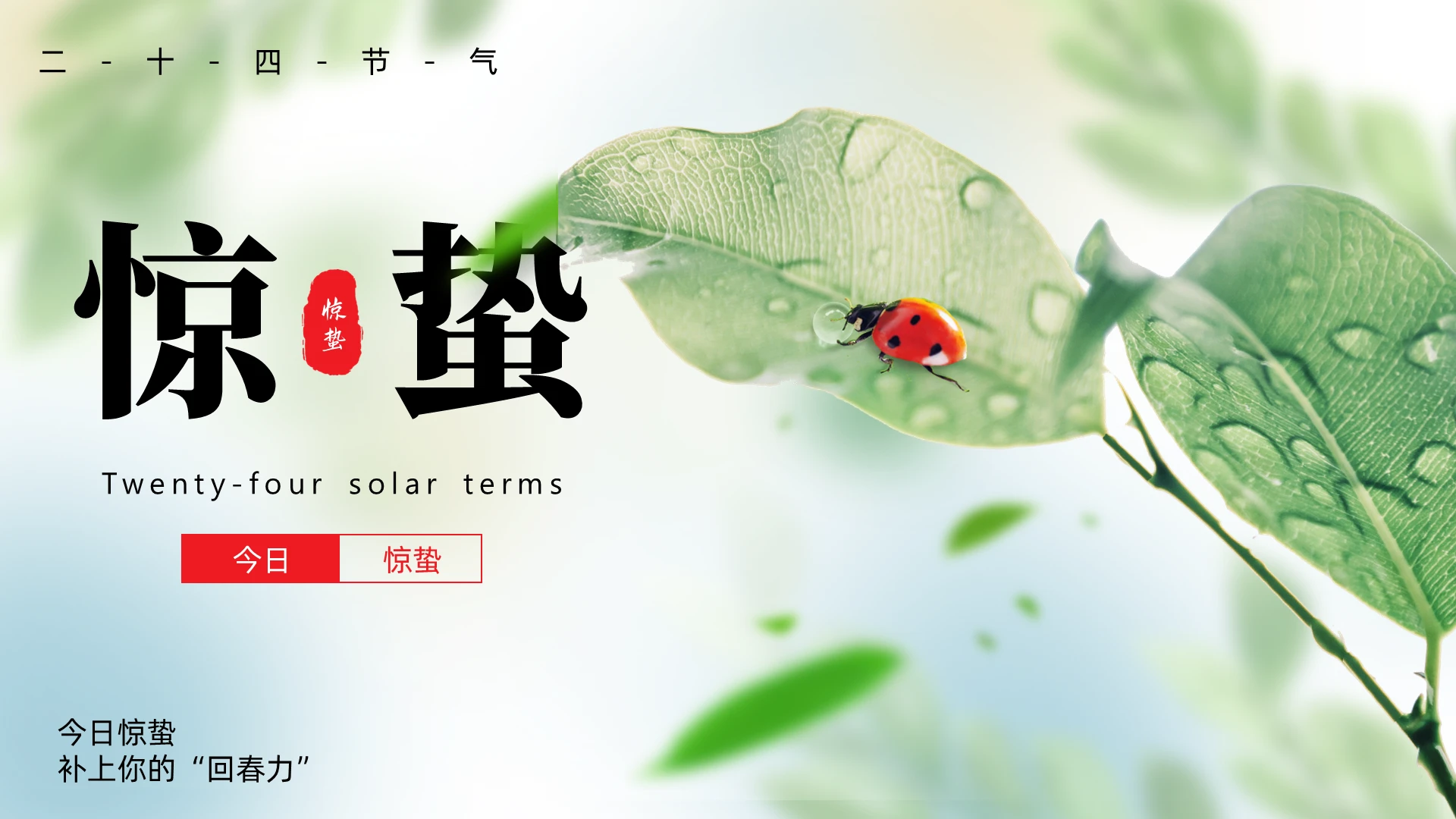 绿色实拍小清新惊蛰节气介绍PPT二十四节气