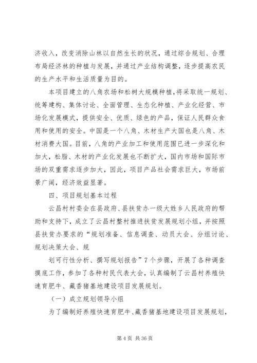 整村推荐扶贫发展计划.docx