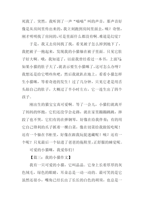 我的小猫作文.docx