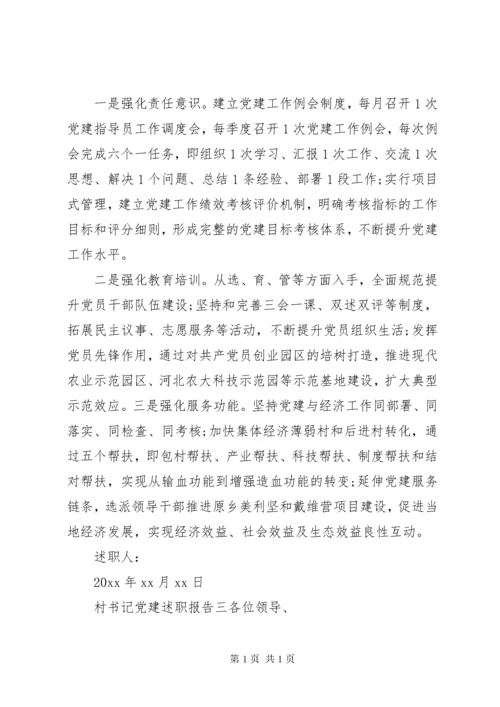 村书记党建述职报告 (3).docx