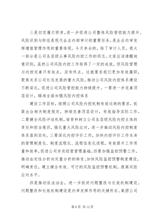 内审分管领导讲话(精).docx