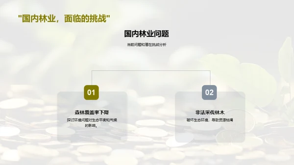 绿色财富，高效林业