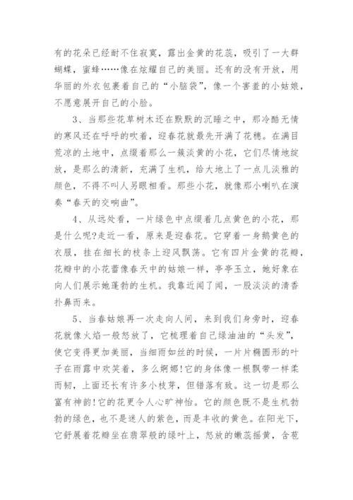 描写迎春花好句好段.docx