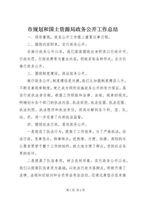 市规划和国土资源局政务公开工作总结.docx