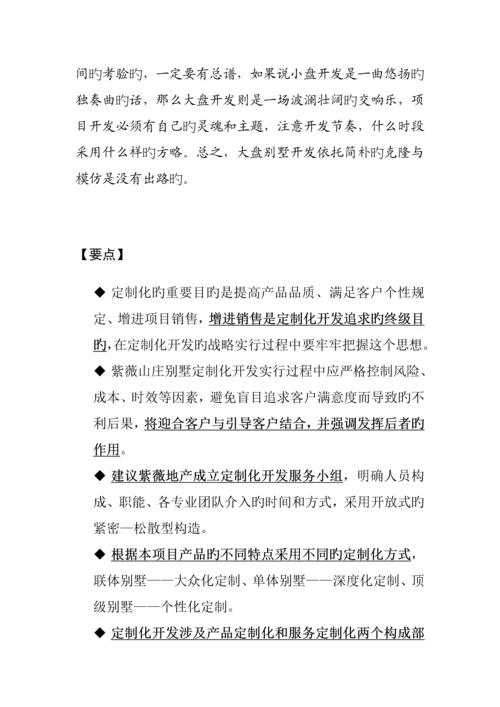 山庄定制化开发专题方案.docx