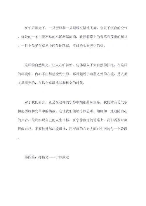 语文宁静致远提纲