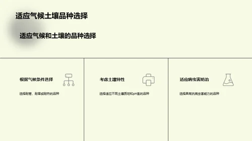 蔬菜种植新篇章