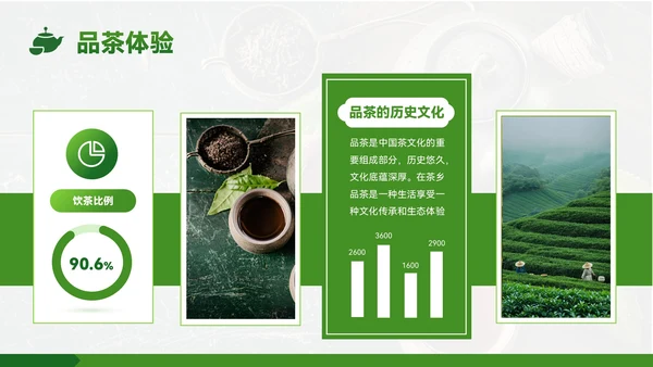 绿色质感风茶乡之旅的生态魅力PPT模板