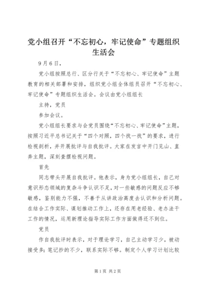 党小组召开“不忘初心，牢记使命”专题组织生活会.docx