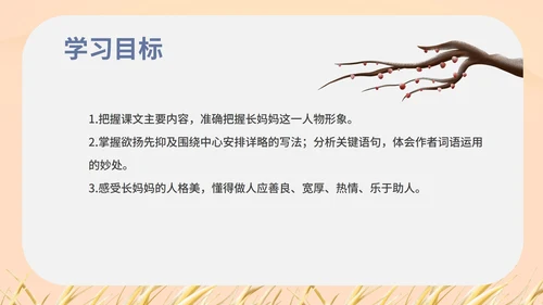 红色中国风初一语文阿长与山海经课件PPT模板
