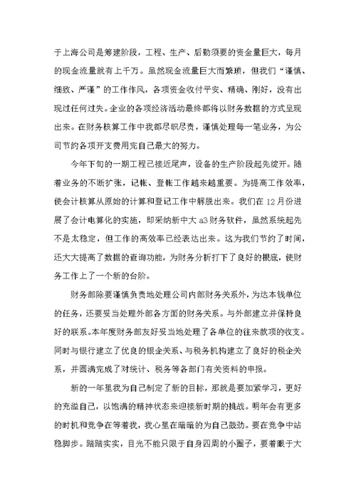 财务新会计个人年终工作总结