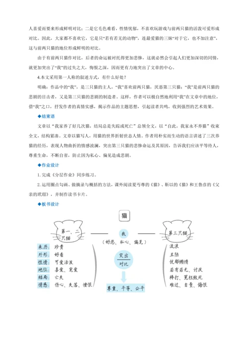 第16课《猫》【2022-2023统编版七上语文高品备课（教学设计）】