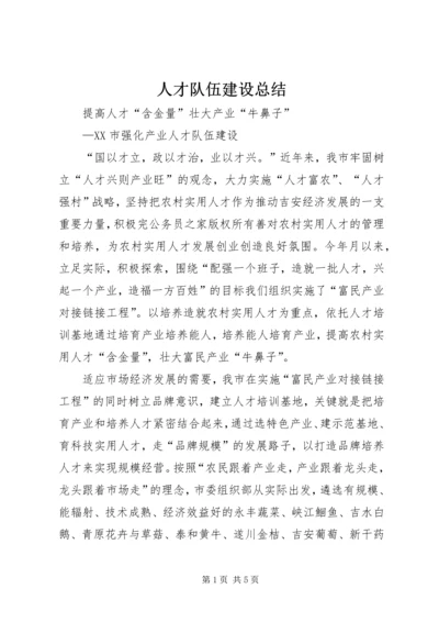 人才队伍建设总结.docx