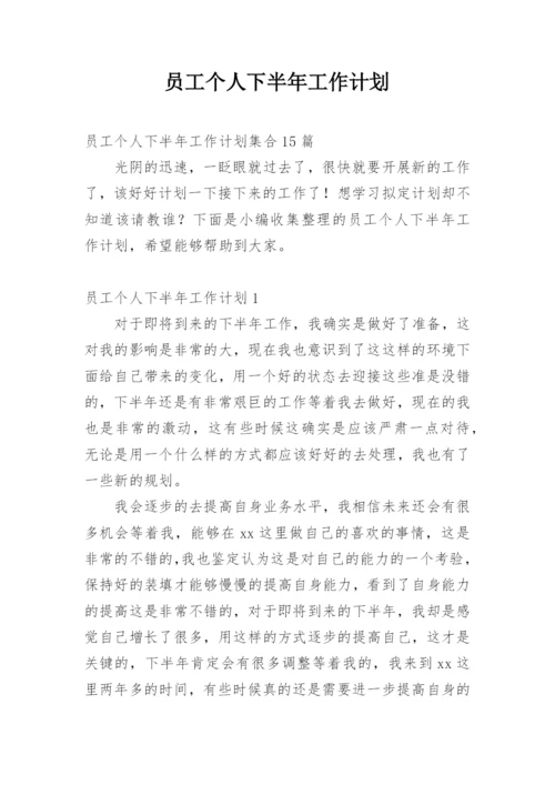 员工个人下半年工作计划.docx