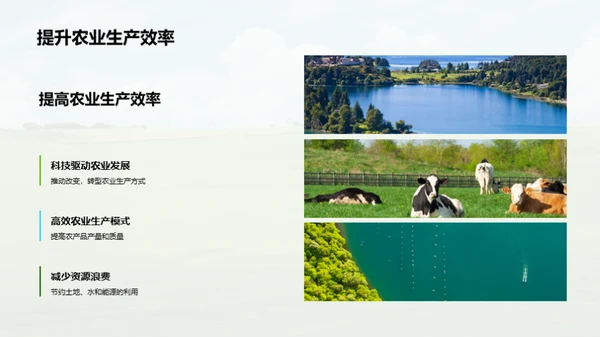 迈向绿色农业