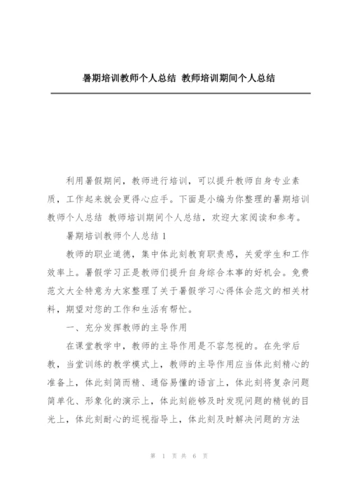 暑期培训教师个人总结 教师培训期间个人总结.docx