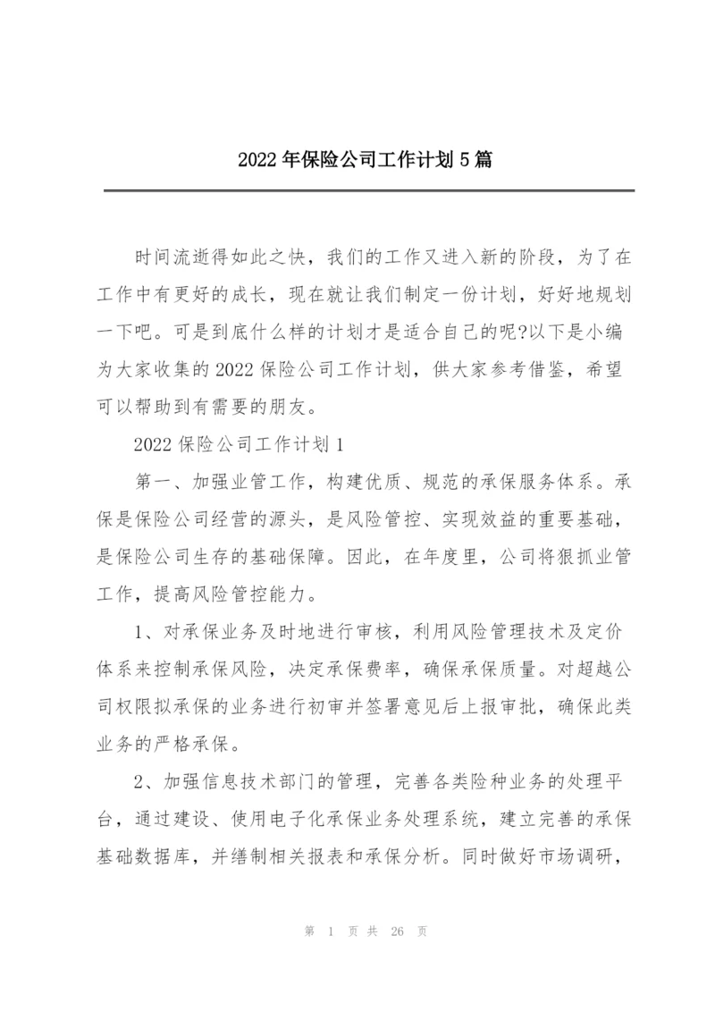 2022年保险公司工作计划5篇.docx