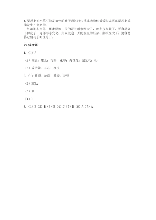 教科版四年级下册科学第一单元《植物的生长变化》测试卷【各地真题】.docx