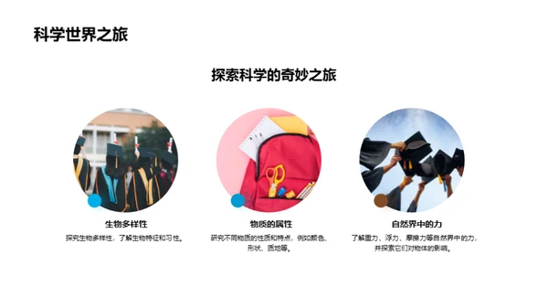 二年级学习探索