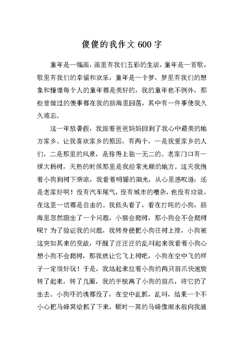 傻傻的我作文600字