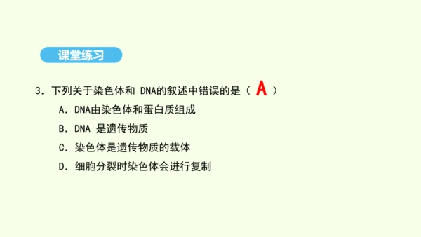 7.2.2基因在亲子代间的传递课件-人教版生物八年级下册(共29张PPT)