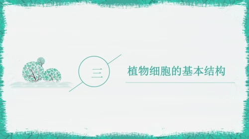 人教版（2024）七年级上册1.2.2 植物细胞 课件(共19张PPT)