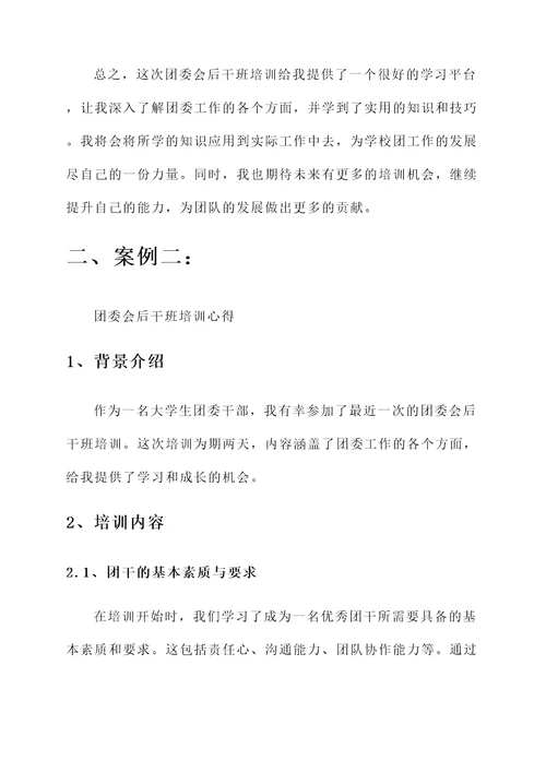 团委会后干班培训心得