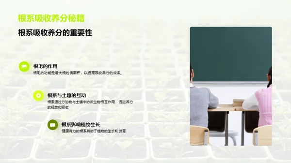 植物的奥秘世界