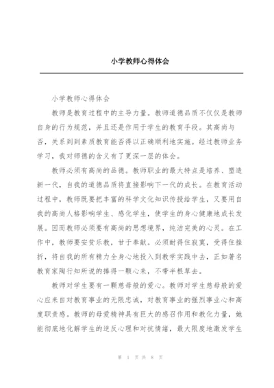 小学教师心得体会.docx