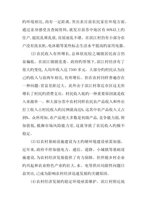 乡镇调研报告.docx