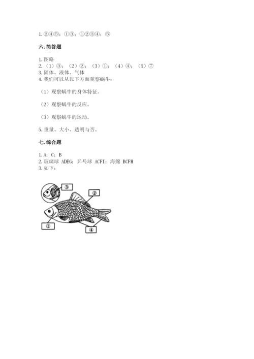 教科版一年级下册科学期末测试卷精品（典型题）.docx