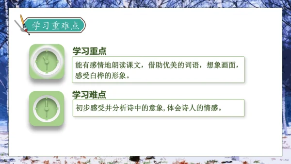 【核心素养】部编版语文四年级下册-11.白桦 第1课时（课件）