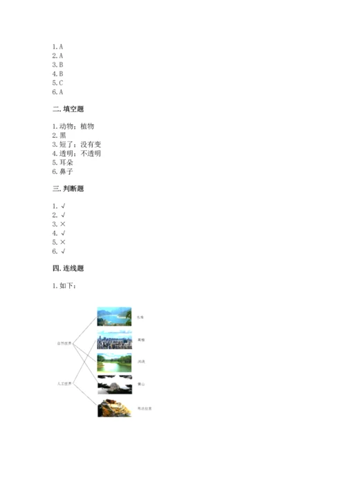 教科版科学二年级上册《期末测试卷》带答案（培优b卷）.docx