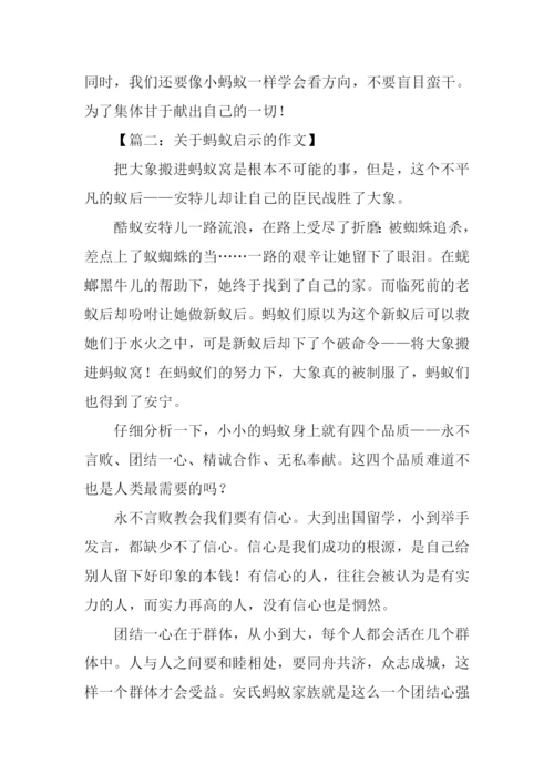 关于蚂蚁启示的作文.docx