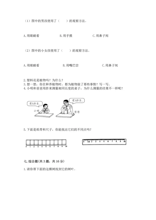 教科版一年级上册科学期末测试卷精品【必刷】.docx