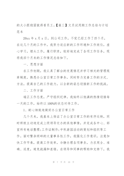 文员试用期工作总结与计划范本.docx